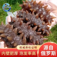 俄羅斯 二紅 進(jìn)口淡干海參50g 淡干海參干貨淡干海參海鮮批發(fā)現供